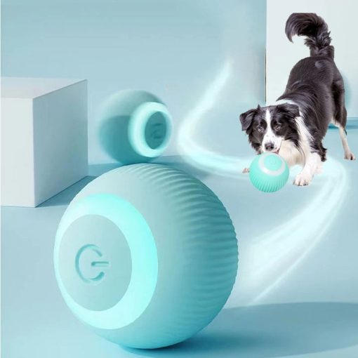 Small Auto Rolling Ball For Dogs