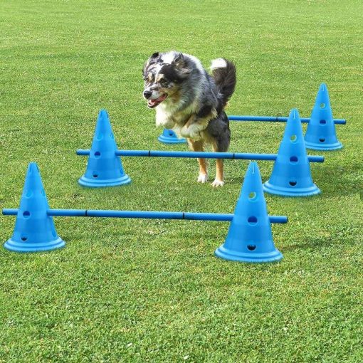 Agilepuppy™ - Dog Agility Training Hurdles