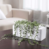 Hydroponic Indoor Herb Garden Kit - Ebb And Flow System