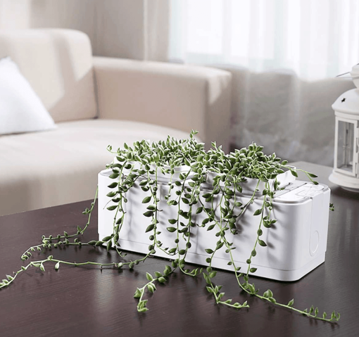 Hydroponic Indoor Herb Garden Kit - Ebb And Flow System