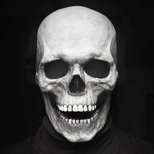 Full Head Skull With Movable Jaw