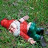 A Funny Lying Drunk Elf Dwarf