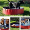 Dog Swimming Pool