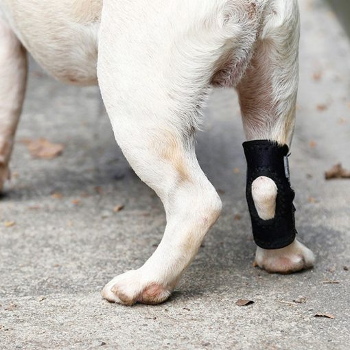 1 Pc Pet Knee Pads Support Brace For Leg Hock Joint Wrap Breathable Injury Recover Legs Dog Protector Support Protects Bandage