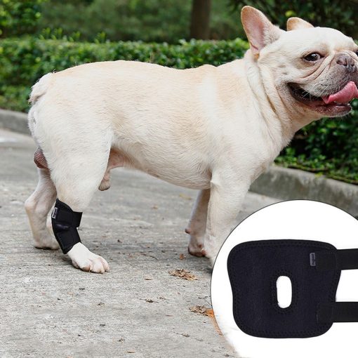 1 Pc Pet Knee Pads Support Brace For Leg Hock Joint Wrap Breathable Injury Recover Legs Dog Protector Support Protects Bandage