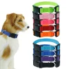 Basic Nylon Dog Collar With Buckle Durable Adjustable Pet Collar For Small Medium Large Dogs Cat Beagle Bulldog Pet Accessories