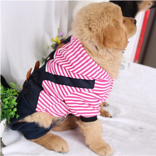 Big Dog Clothing Autumn And Winter Dog Clothing Pet Clothing Vip Bears Winter Clothing Four Legged Clothing Golden Hair