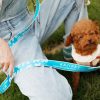 Cawayi Kennel Nylon Soft Pet Dogs Chain Traction Rope Leads Hands Diagonally Dog Rope Explosion-Proof Chain For Large Dogs