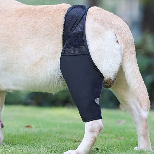 Dog Knee Brace Dog Braces For Back Leg Support Dog Knee Support Sleeve Knee Stifle Brace Flexible Support Treat For Luxating Pat