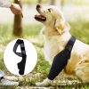 Dog Knee Brace Dog Braces For Back Leg Support Dog Knee Support Sleeve Knee Stifle Brace Flexible Support Treat For Luxating Pat