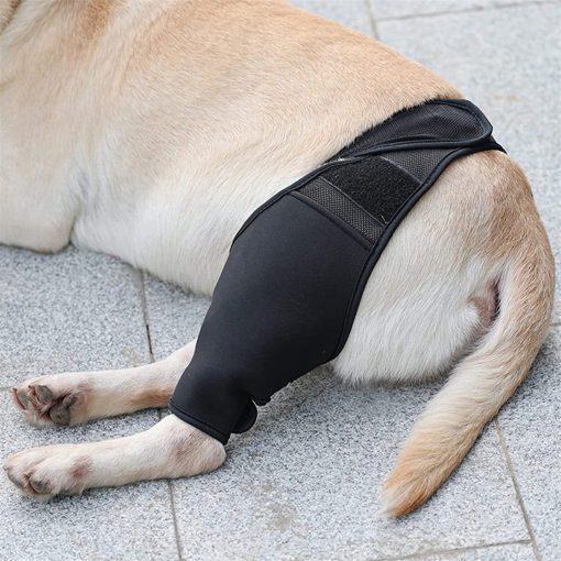 Dog Knee Brace Dog Braces For Back Leg Support Dog Knee Support Sleeve Knee Stifle Brace Flexible Support Treat For Luxating Pat