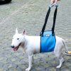 Pet Dog Assist Rehabilitation Lifting Harness Dog Harness Sling Lift Aid Acl Brace Leashes For Rear Leg Support Of Older Limping