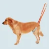 Pet Rear Legs Support Aid Sling Pet Dog Lift Harness For Elderly Dog With Poor Stability Back Leg Hip Disabled Joint Injury