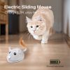 Interactive Cat Toy Automatic Mouse With Feather Tail Kitty With Usb Charging Pet Exercise With Led Lights Smart Electric Robot