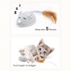 Interactive Cat Toy Automatic Mouse With Feather Tail Kitty With Usb Charging Pet Exercise With Led Lights Smart Electric Robot