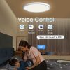 Marpou Tuya Ceiling Lamp Room Decor Led Light Rgb App Voice Control Alexa Google Smart Lamp For Home Appliance 16 Million Colors