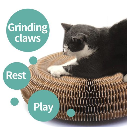 Magic Cat Scratch Organ Board Cat Toy With Ball Cat Grinding Claw Cat Climbing Frame Kitten Round Corrugated Cat Scratching Toy