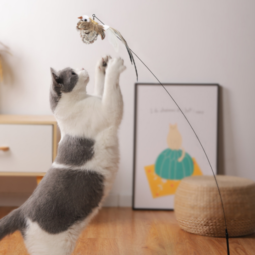 Simulation Bird Interactive Cat Toy Funny Feather Bird With Bell Cat Stick Toy For Kitten Playing Teaser Wand Toy Cat Supplies