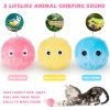 Smart Cat Toys Interactive Ball Catnip Cat Training Toy Pet Playing Ball Pet Squeaky Supplies Products Toy For Cats Kitten Kitty