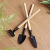 3 Piece Set Mini Gardening Potting Tools Wooden Handle Shovel Rake Shovel Multifunctional Household Plant Bonsai Tools