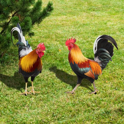 Garden Rooster Decor Outdoor Backyard Decoration Chicken Figurine Weatherproof Hen Figurine For Patio Hens For The Garden