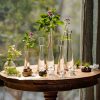 Transparent Glass Flower Vase Small Vase Hydroponics Plant Flower Terrarium Luxury Room Table Home Decor Wedding Decoration