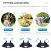 1000M Electric Dog Training Collar Pet Remote Control Anti Barking Dog Collar With Shock Vibration Sound Shocker