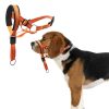 Dog Adjustable Mouth Cover Accessories Anti Barking Biting Puppy Outdoor Training Protection Supplies Pet Dog Buckled