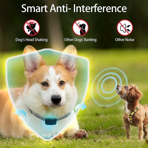 Pet Dog Anti Bark Device Usb Ultrasonic Intelligent Electric Dogs Training Collar Dog Stop Barking Vibration Water Proof Collar