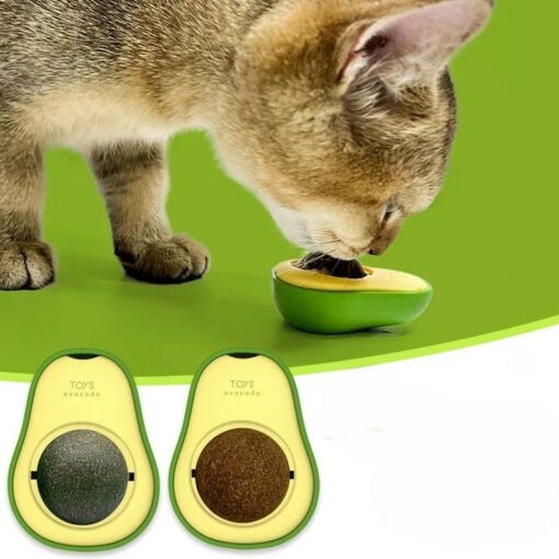 Catnip Ball for Cat Teeth Cleaning and Bite Prevention31